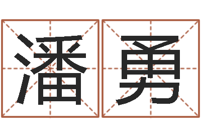 潘勇国学与国运-文学研究会成员