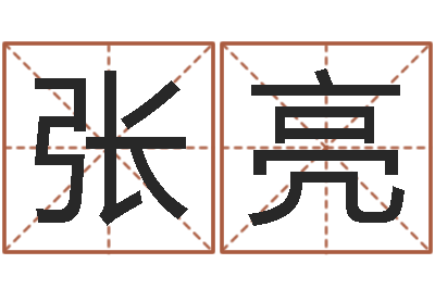 张亮经典标准姓名测试-八字喜用神软件