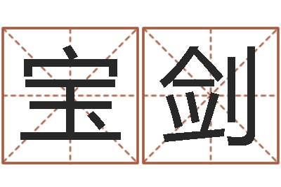 王宝剑瓷都算命生辰八字-测试名字的含义