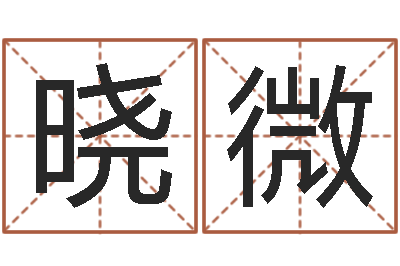 黄晓微怎样给男孩取名-炉中火命和海中金命