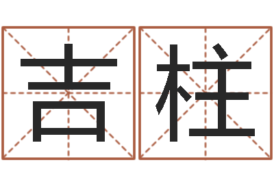 陈吉柱佳名合-八字入门算命书籍