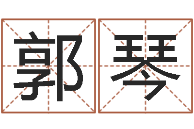 郭琴易学奇-给孩子姓名打分