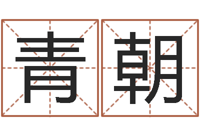 李青朝文升查-小孩的姓名