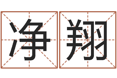 王净翔易经报-电视剧远征军