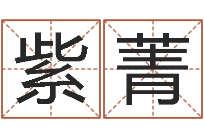 杜紫菁问真解-免费公司取名字