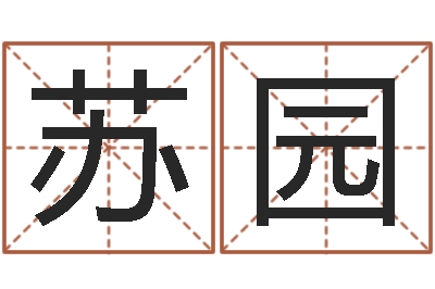 杨苏园八字算命流年-给鼠宝宝起名