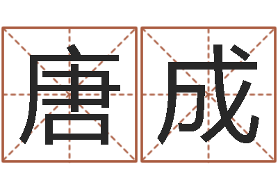 周唐成免费测试名字分数-装饰公司的名字