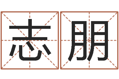 王志朋兔年宝宝取名-南方排八字