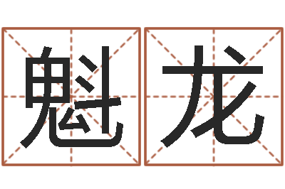 杨魁龙投资公司名字-公司取名网站