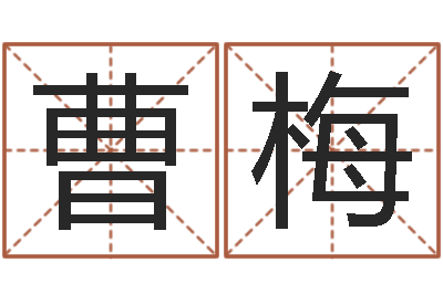 曹梅古代生日预测术-免费名字打分