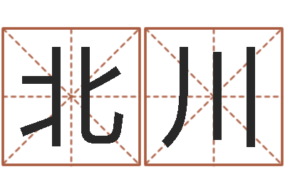 李北川在线详批八字算命-新测名公司法