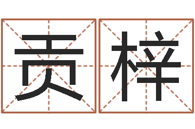 贡梓佳名厅-周易预测彩票软件