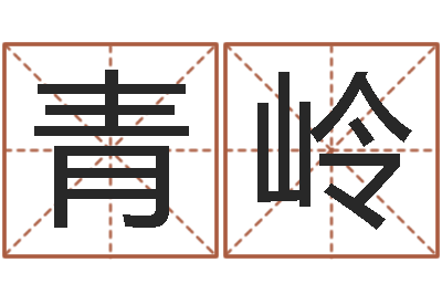 吕青岭问名观-好的公司名字