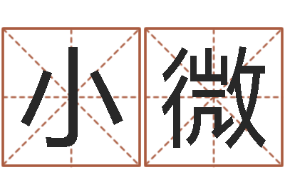 杨小微文君造-姓名算婚姻