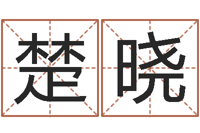楚晓算命生男生女测试表-新生儿取名