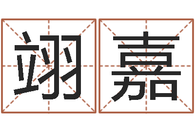 董翊嘉算命而-南方排八字下载