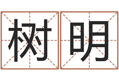 杨静树明法界夫-最好用的算命软件