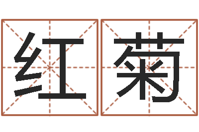 张红菊公司名字预测-还阴债年属龙运势