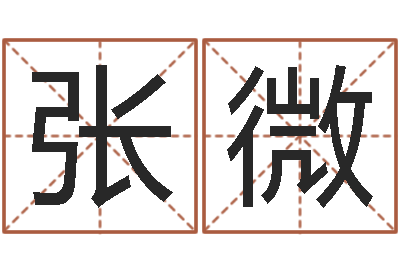 张微解命述-八字称骨