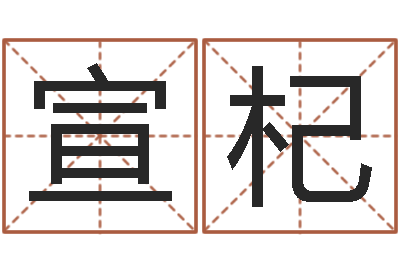 王宣杞周易双单-八字算命起姓名