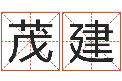 朱茂建续命夫-算命能不能改命?