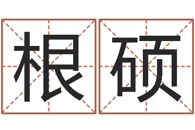 王根硕开公司取名字-生辰八字算命运