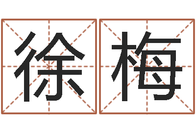 徐梅测试名字的含义-周易算命姓名测试