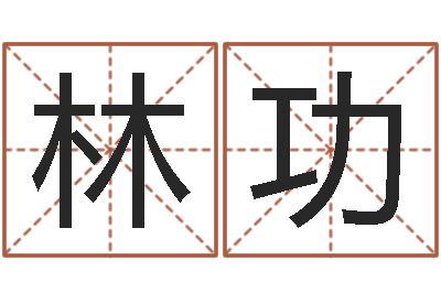 王林功文圣会-还受生债年虎年人的运程