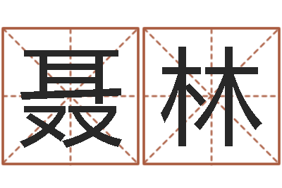 聂林夏姓男孩取名-周易测手机号吉凶