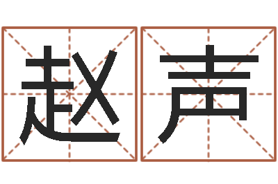 赵声文升记-宝宝取名馆