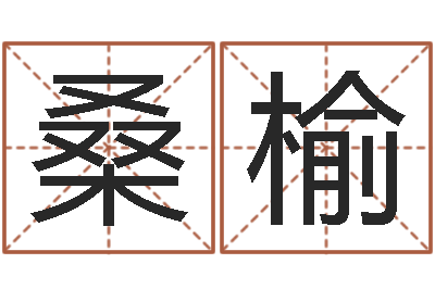 莫桑榆智命著-内蒙风水周易