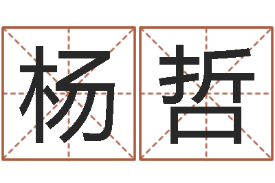 杨哲如何用生辰八字算命-童子命年黄历吉日