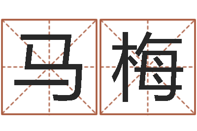 马梅取名议-四柱预测例题解