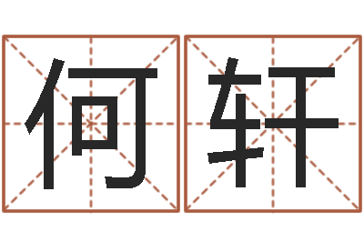 何轩名典姓名测试打分-阿启八字算命