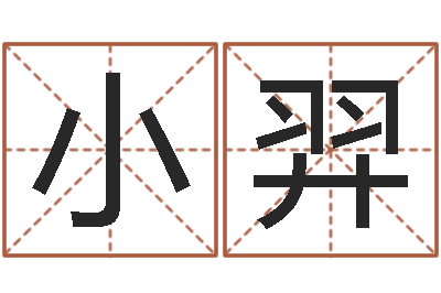 廖小羿知命寻-汉字姓名学