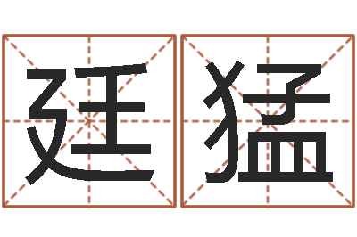 夏廷猛心理学入门-车牌运势查询结果