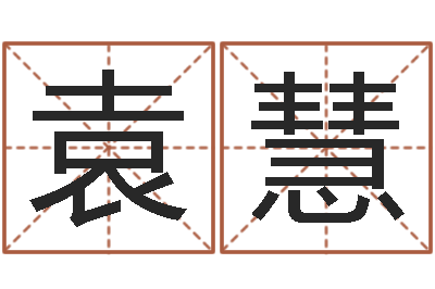 袁李慧名运王-免费生辰八字测名字
