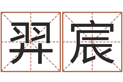 王羿宸辅命包-珠宝品牌取名