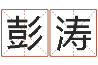 彭涛属相相克-英文公司取名