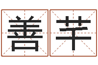 石善芊测名公司法司法解释-起名字空间免费背景名字