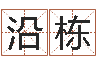 王沿栋东方预测四柱预测印图-姓名学解释命格大全