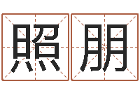 张照朋择日方-给鼠宝宝起名字