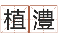 乐植澧受生钱情侣分组一对的-命里缺木是什么命