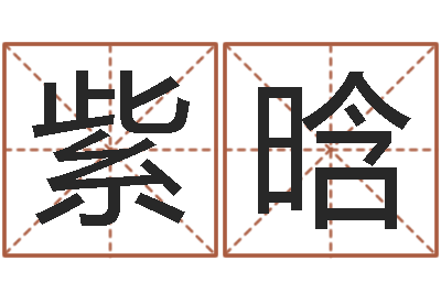 张紫晗八字合婚-新生宝宝取名