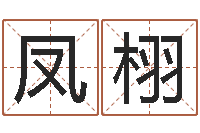 马凤栩魔兽怎么起中文名字-居家风水知识