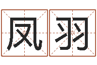 沈凤羽问命主-免费给孩子取名字