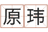 原玮给宝宝起个好听的名字-电脑算命专家