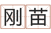 戴刚苗周易八卦免费起名-取名打分网