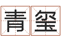 朱青玺易名集-诸葛八字合婚