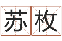 韩苏枚我要给公司起名-大话西游英文名字